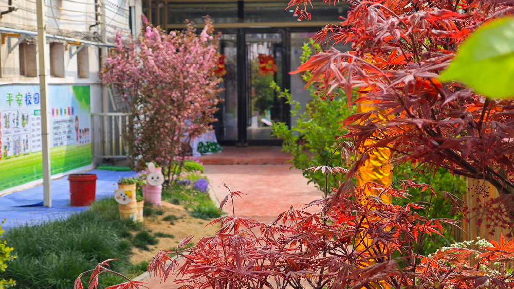 入校花园漂亮吗