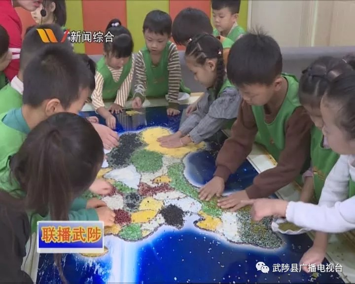 五谷杂粮拼粘地图活动—武陟电视台报道